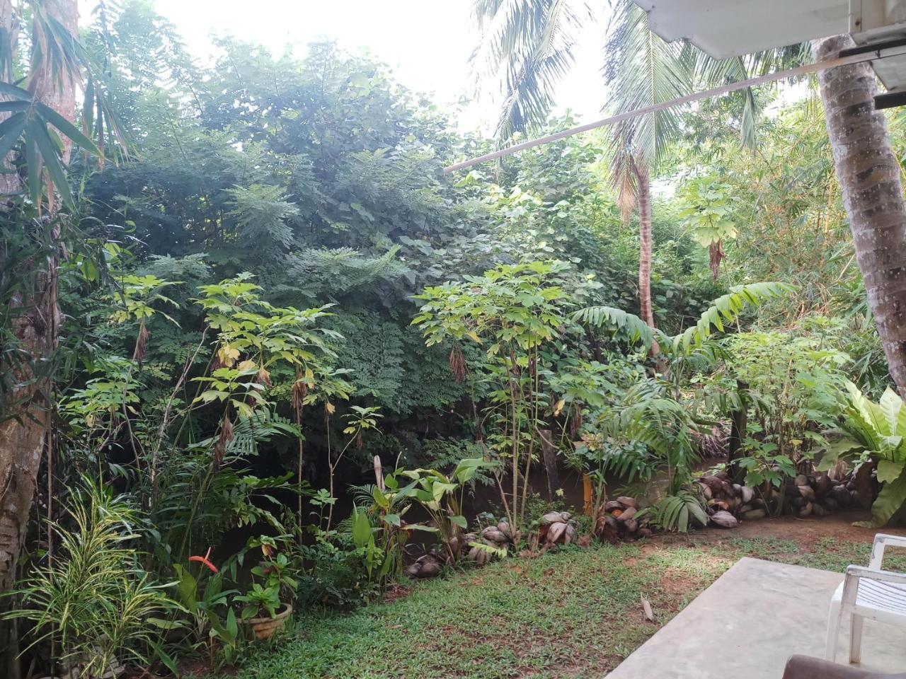 Lakvilla Hikkaduwa Luaran gambar