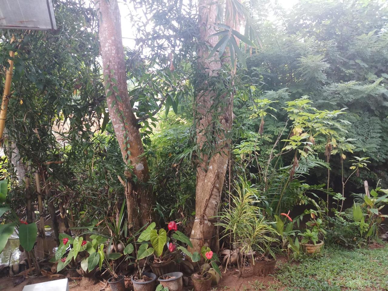 Lakvilla Hikkaduwa Luaran gambar