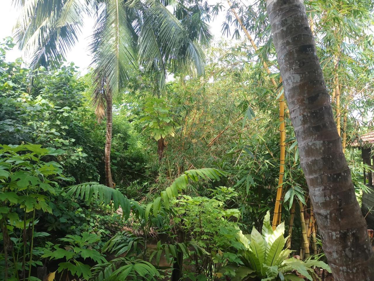Lakvilla Hikkaduwa Luaran gambar
